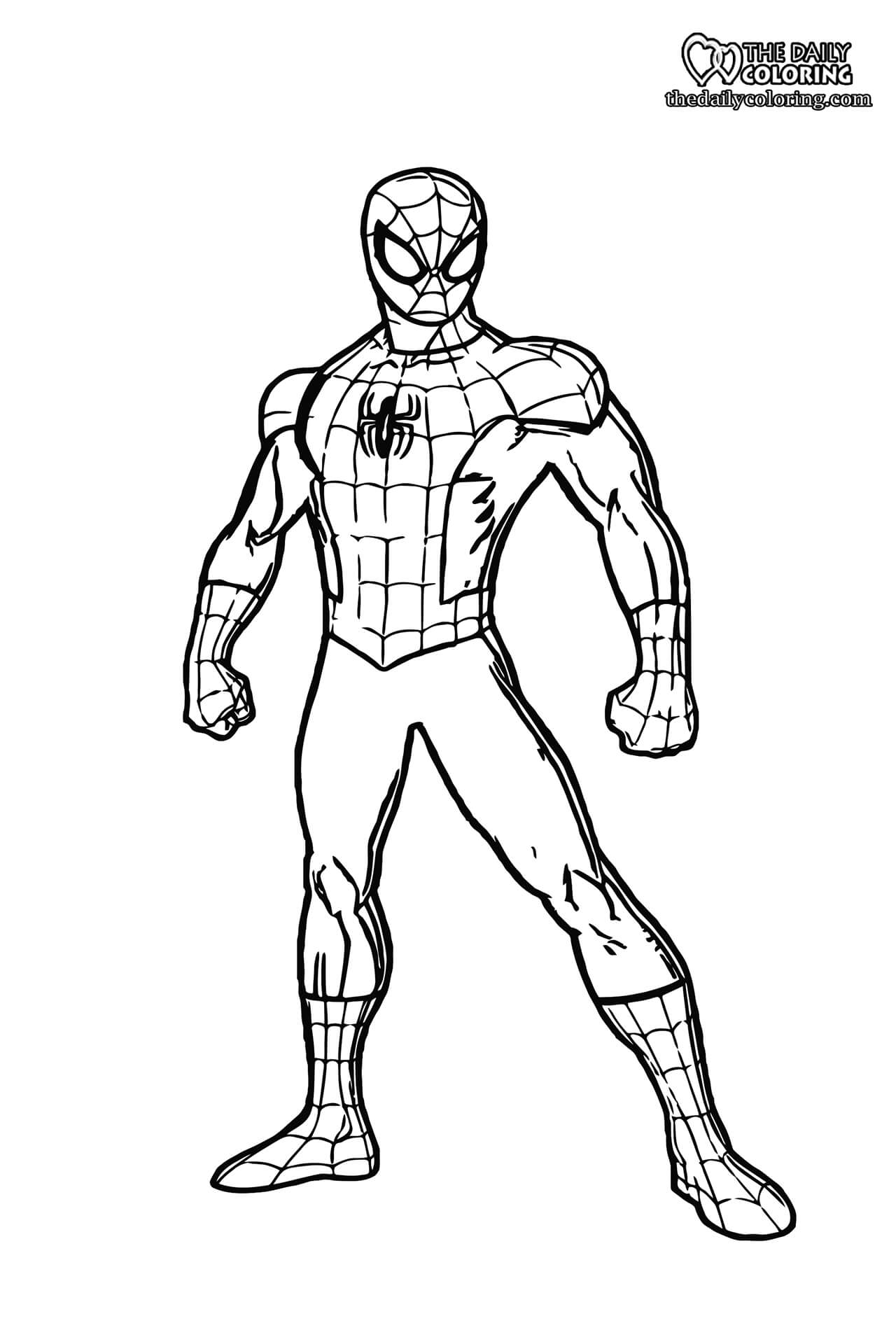 Spiderman Coloring Pages 21+ FULL HD   The Daily Coloring