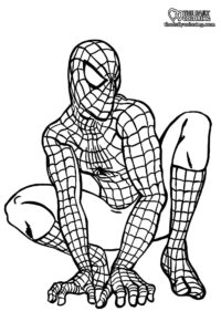 Spiderman Coloring Pages 7+ FULL HD - The Daily Coloring