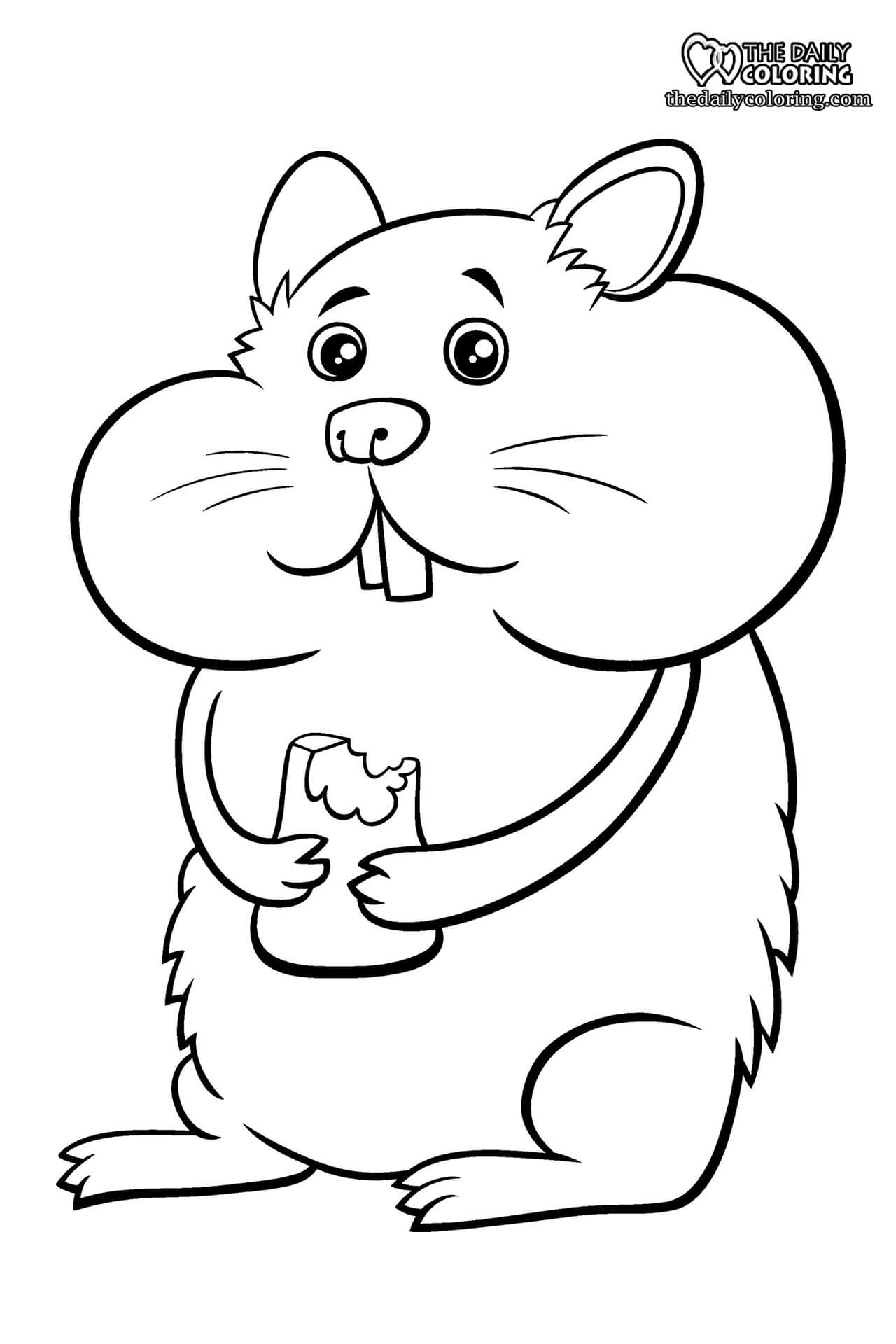 hamster-coloring-page